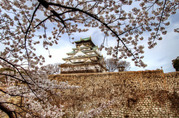 Картинка осака Япония города замки Японии сакура пагода стена замок