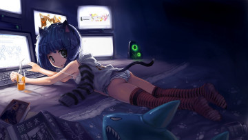 обоя аниме, animals, компьютер, catgirl