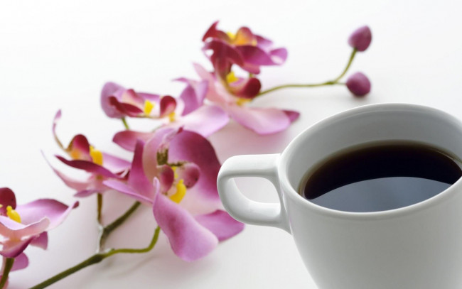 Обои картинки фото еда, кофе, кофейные, зёрна, орхидеи, цветы