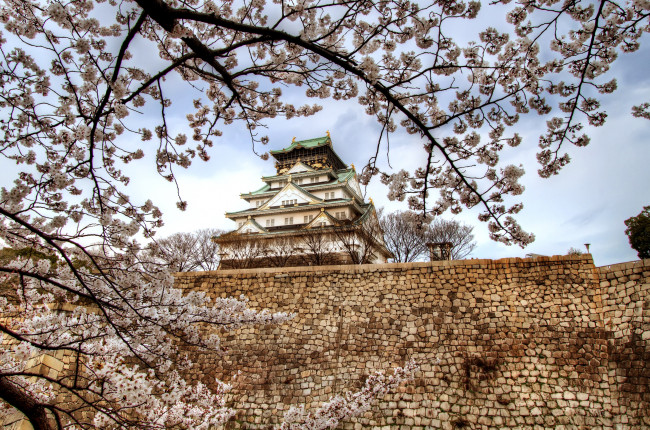 Обои картинки фото осака, Япония, города, замки, Японии, сакура, пагода, стена, замок