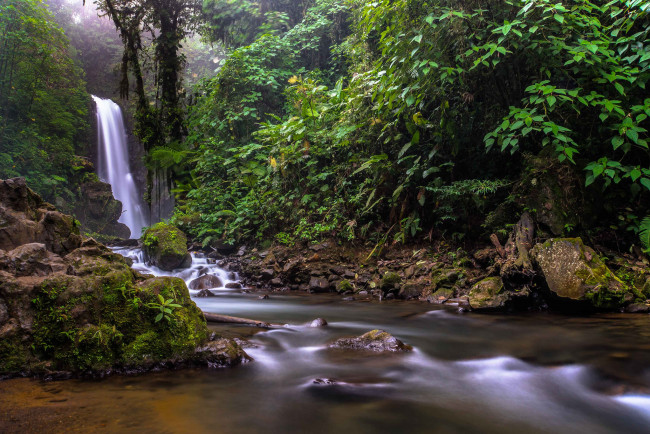 Обои картинки фото природа, водопады, река, водопад, лес
