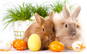 Картинка животные кролики +зайцы двое Яйца пасха