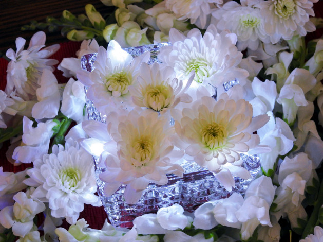 Обои картинки фото цветы, хризантемы, ваза, композиция
