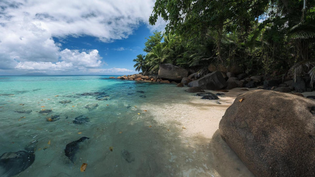 Обои картинки фото природа, побережье, море, камни, остров, сейшельские, острова, берег