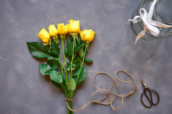 Картинка цветы розы бутоны желтые фон ножницы
