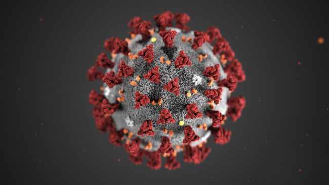 Обои картинки фото 3д графика, другое , other, коронавирус