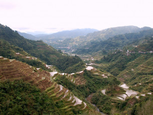 Картинка рисовые террасы филиппины природа поля