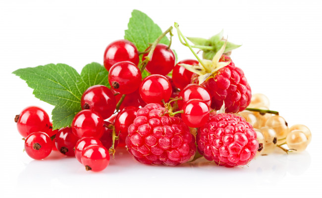 Обои картинки фото еда, фрукты, ягоды, белая, смородина, красная, малина