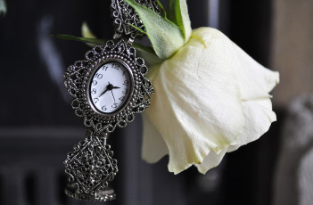 Картинка разное Часы часовые механизмы часики роза