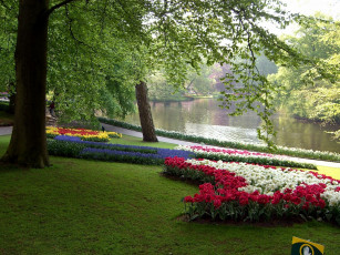 Картинка природа парк река деревья клумбы тюльпаны