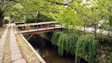 Картинка природа парк канал мостики деревья