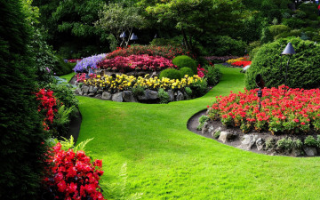 Картинка природа парк клумбы цветы камни