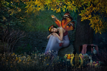 Картинка разное компьютерный+дизайн арфа крылья природа фэнтези девушка бабочка эльф лес азиатка