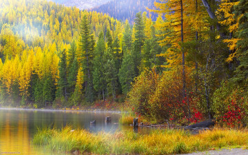 Картинка autumn paradise природа лес желтая осень озеро листва