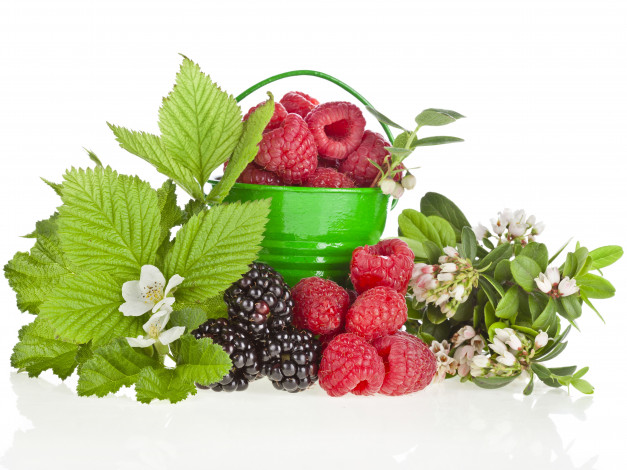 Обои картинки фото еда, фрукты, ягоды, ежевика, ведёрко, малина, цветы