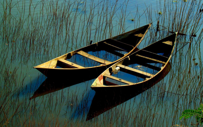 Обои картинки фото корабли, лодки, шлюпки, водоросли, вода