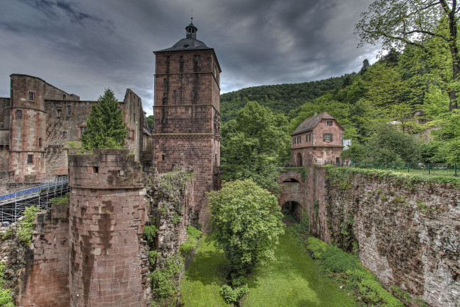 Обои картинки фото heidelberg, castle, germany, города, гейдельберг, германия, гейдельбергский, замок, деревья