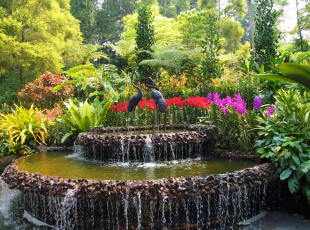 Картинка природа парк цветы деревья фонтан птицы скульптуры кусты сад botanic gardens сингапур