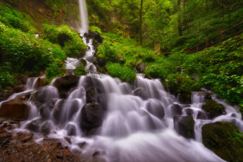 Картинка природа водопады водопад река лес