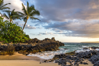 Картинка природа тропики пляж пальмы бухта