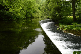 Картинка природа водопады река водопад ступень вода деревья