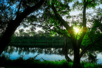 Картинка природа восходы закаты река солнце трава утро дерево