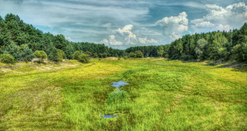 Картинка природа пейзажи ручей поле лес