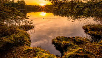 Картинка природа восходы закаты река рассвет лес