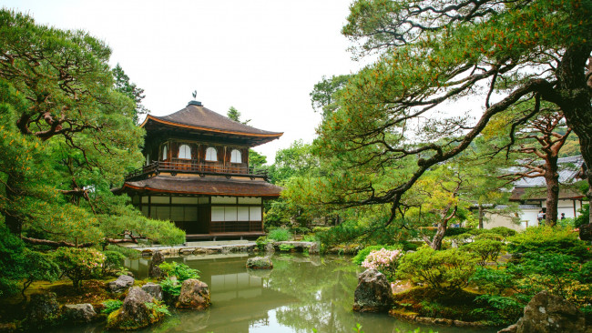 Обои картинки фото города, - здания,  дома, пруд, вода, сосны, парк, зелень, пагода, Япония