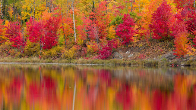 Обои картинки фото природа, реки, озера, река, отражение, багрянец, листья, осень, деревья, лес, берег