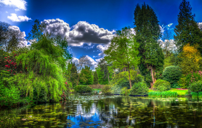 Обои картинки фото природа, реки, озера, река, вода, деревья, зелень, облака, небо, hdr