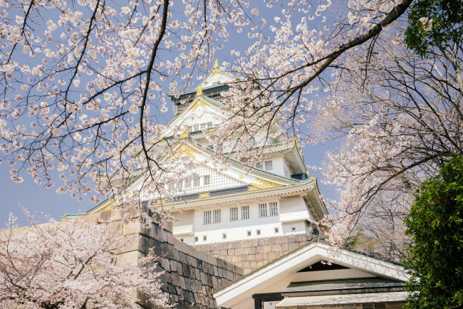 Обои картинки фото города, - здания,  дома, замок, japan, osaka, castle, вишня, сакура, деревья, Япония, осака, park, весна, цветение, ветки