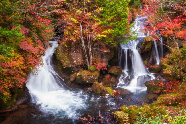 Обои картинки фото природа, водопады, лес, водопад, деревья, осень