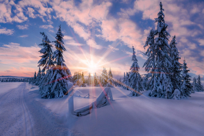 Обои картинки фото природа, зима, норвегия, свет, солнце, звезда, утро, снег