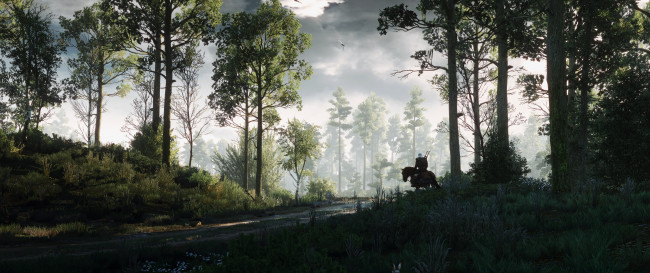 Обои картинки фото видео игры, the witcher 3,  wild hunt, лес