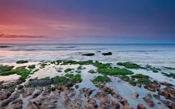 Картинка природа побережье море камни водоросли берег закат небо