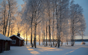 обоя finland, природа, зима, хижина, финляндия, пейзаж, деревья, снег, берёзы, восход