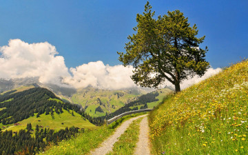 обоя switzerland, природа, дороги, пейзаж, дерево, цветы, горы, облака, швейцария