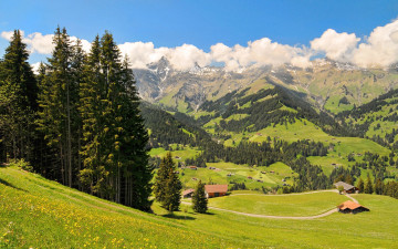 обоя switzerland, природа, пейзажи, домики, деревья, швейцария, горы, луг, облака