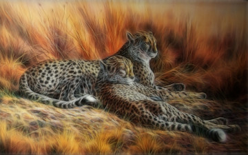 Картинка leopard pair 3д графика animals животные леопарды степь трава гепарды