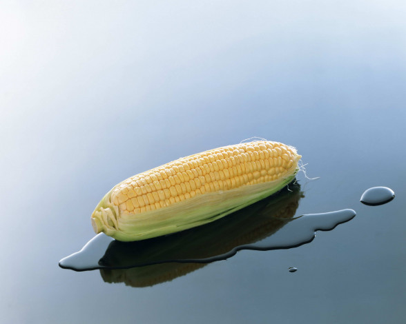 Обои картинки фото еда, кукуруза, вода
