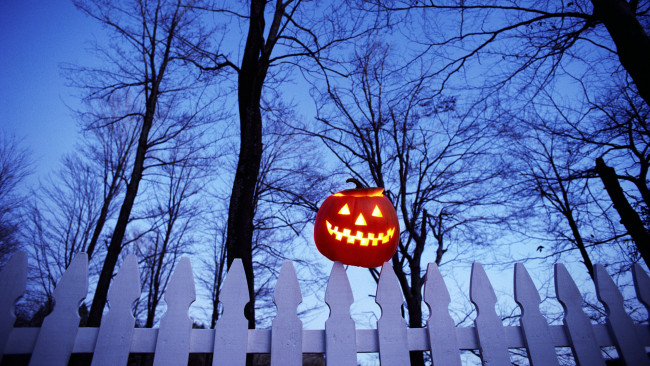 Обои картинки фото праздничные, хэллоуин, деревья, забор, тыква