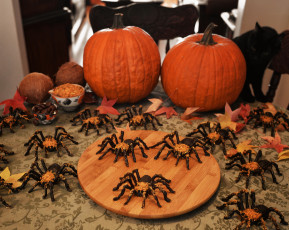 Картинка праздничные хэллоуин пауки тыква