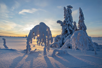 Картинка природа зима деревья поле снег закат небо