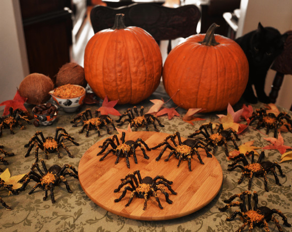 Обои картинки фото праздничные, хэллоуин, пауки, тыква