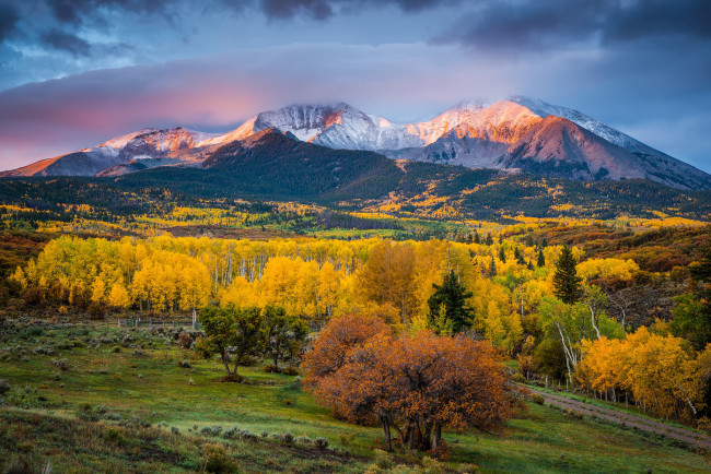 Обои картинки фото природа, горы, штат, сша, краски, деревья, свет, утро, mount, sopris, осень, колорадо