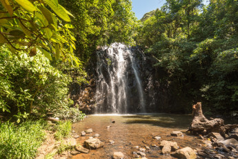 Картинка австралия природа водопады водоем деревья трава камни