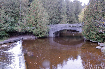 Картинка природа реки озера деревья мост река