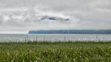 Картинка камчатка природа побережье трава гора туман водоем