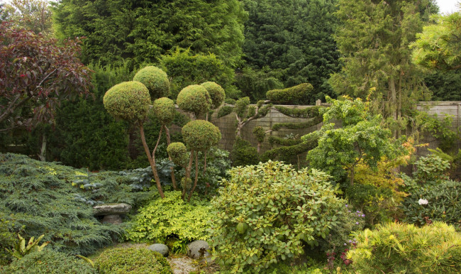 Обои картинки фото англия, природа, парк, стена, деревья, растения